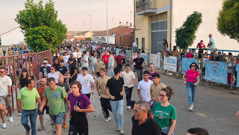 Multitudinario segundo encierro en Macotera