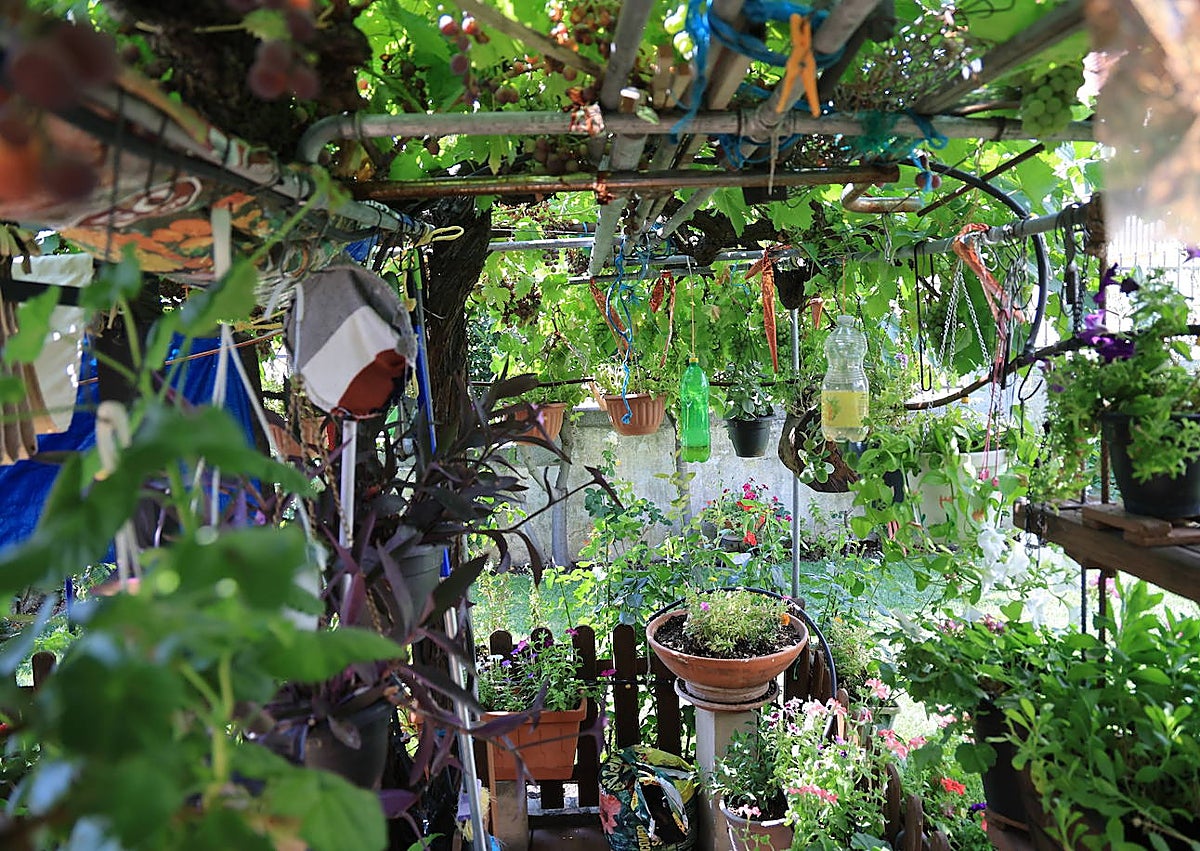 Imagen secundaria 1 - Cuando un pequeño jardín se convierte en un proyecto personal: «Me mantiene ilusionado con la vida»