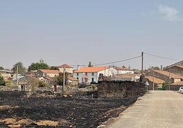 Imagen de parte de la superficie que ha calcinado el fuego en Cerezal de Puertas.