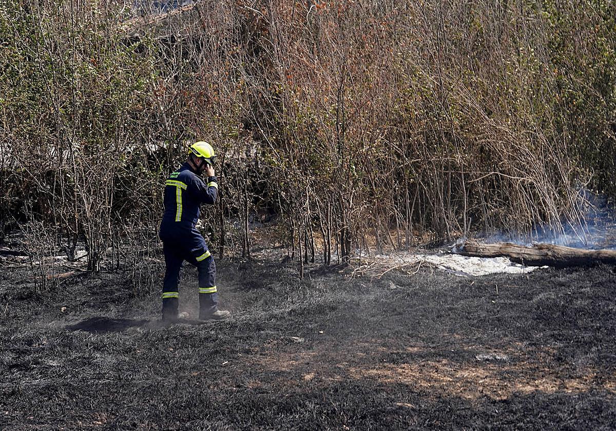 Un bombero de la Diputación de Salamanca, trabajando sobre el terreno que ha calcinado el fuego en Cipérez.