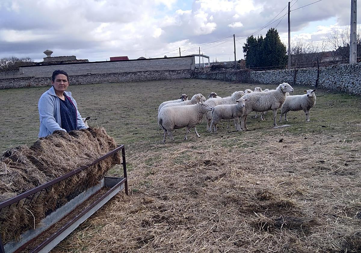 Mari, con algunas de sus ovejas.