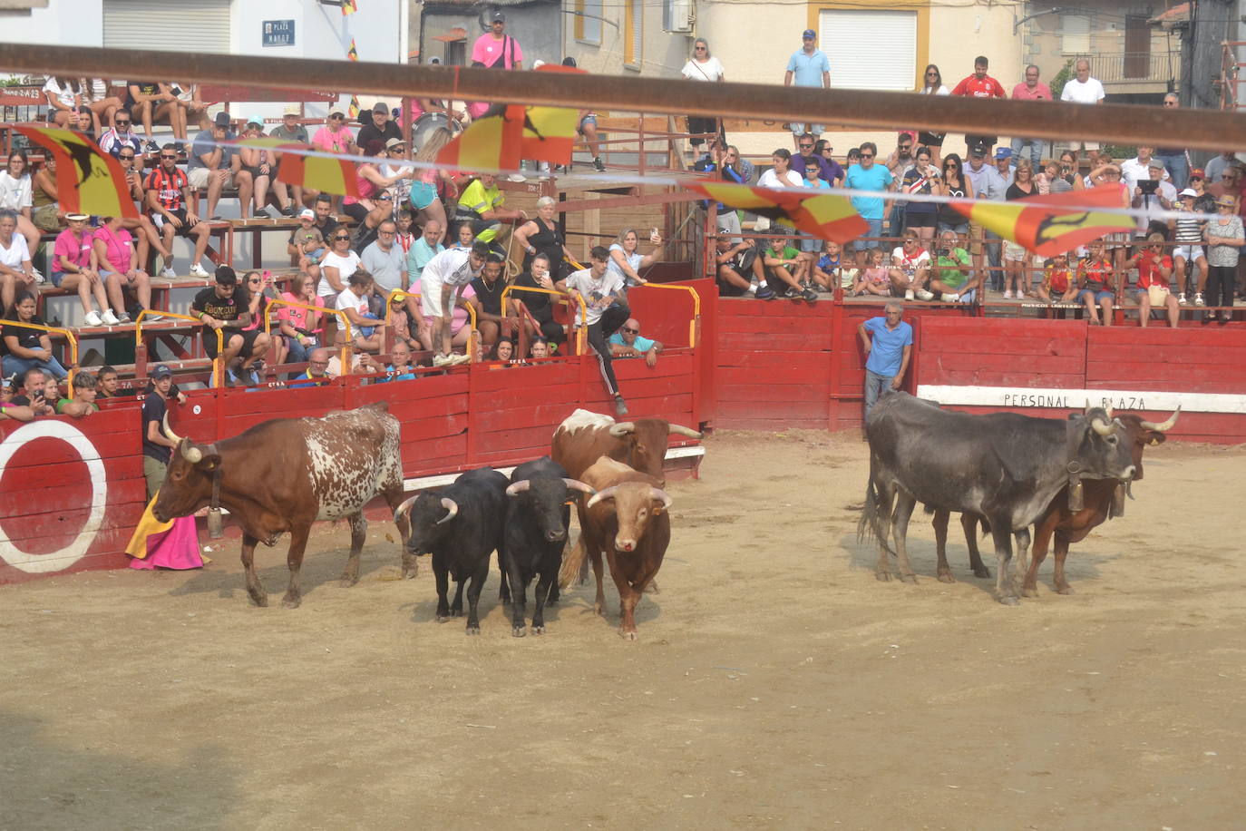Villarino vive la última carrera por San Roque