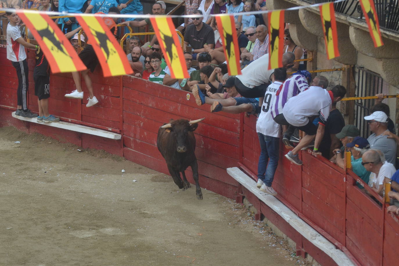 Villarino vive la última carrera por San Roque