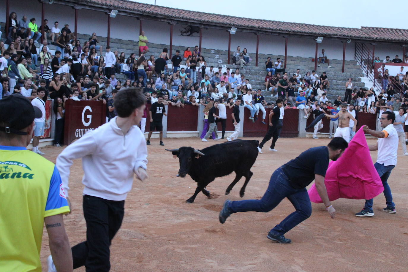 Guijuelo vive con intensidad la vaquilla del aguardiente