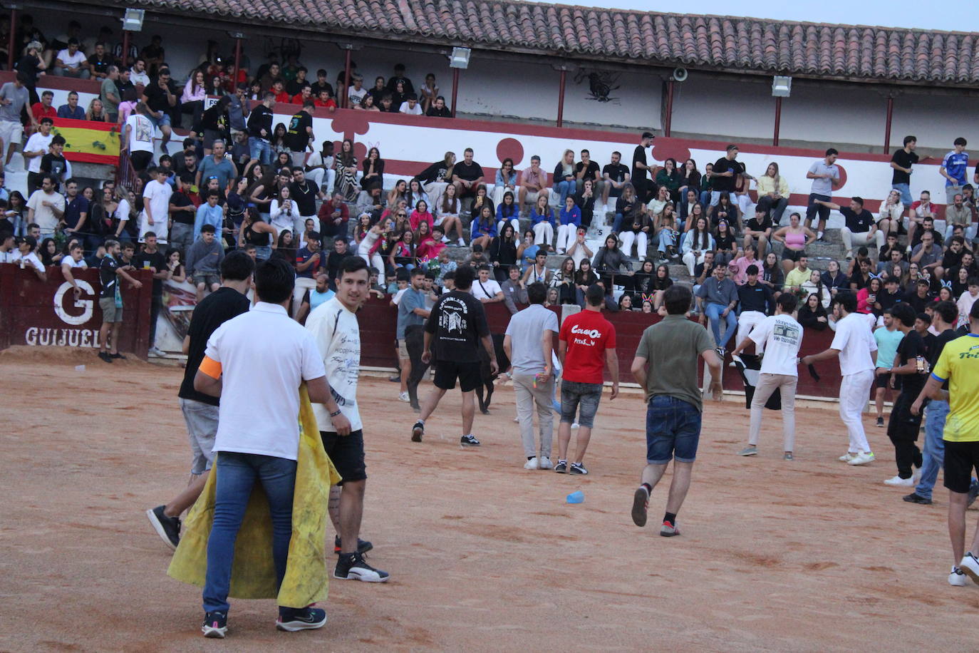 Guijuelo vive con intensidad la vaquilla del aguardiente
