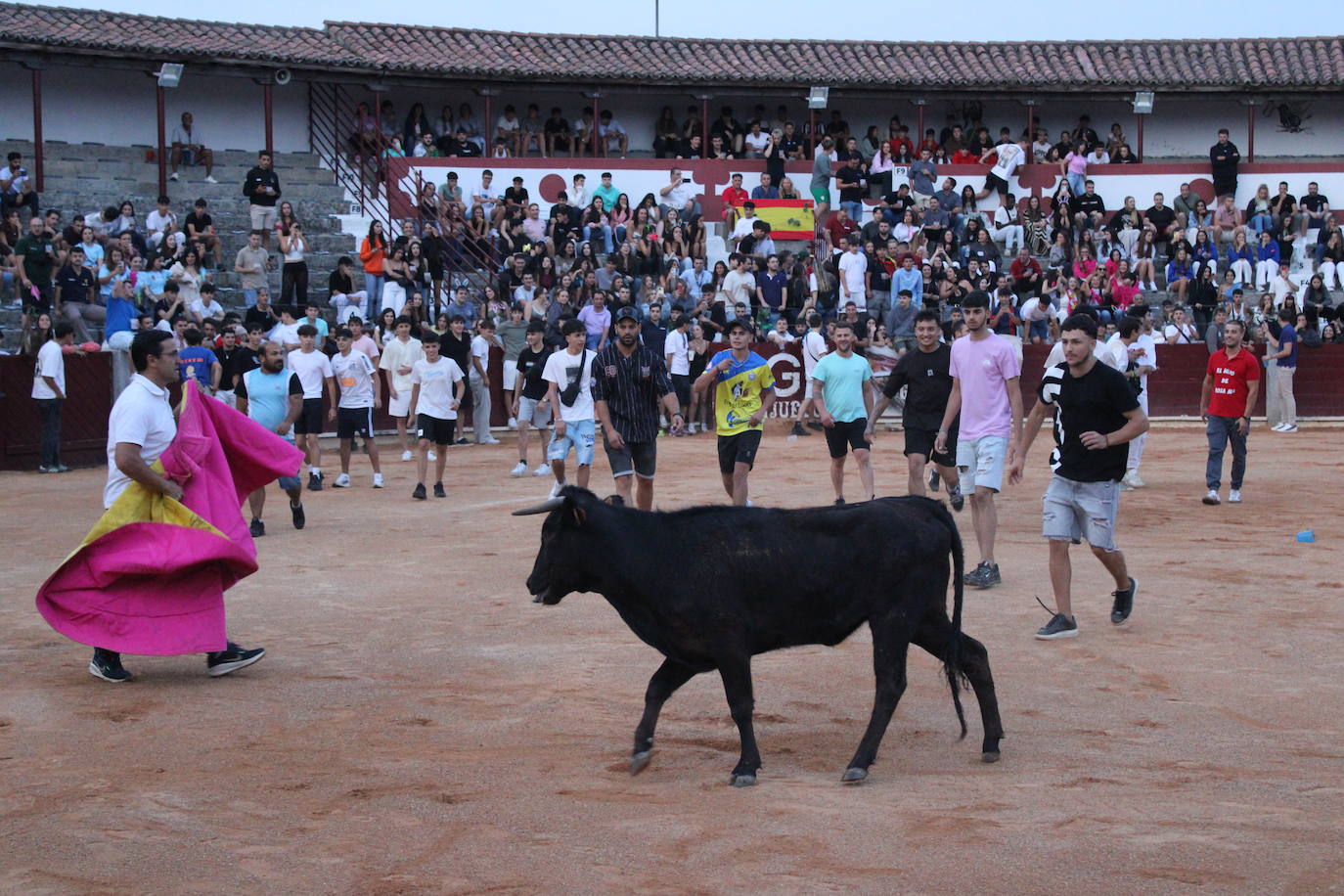 Guijuelo vive con intensidad la vaquilla del aguardiente