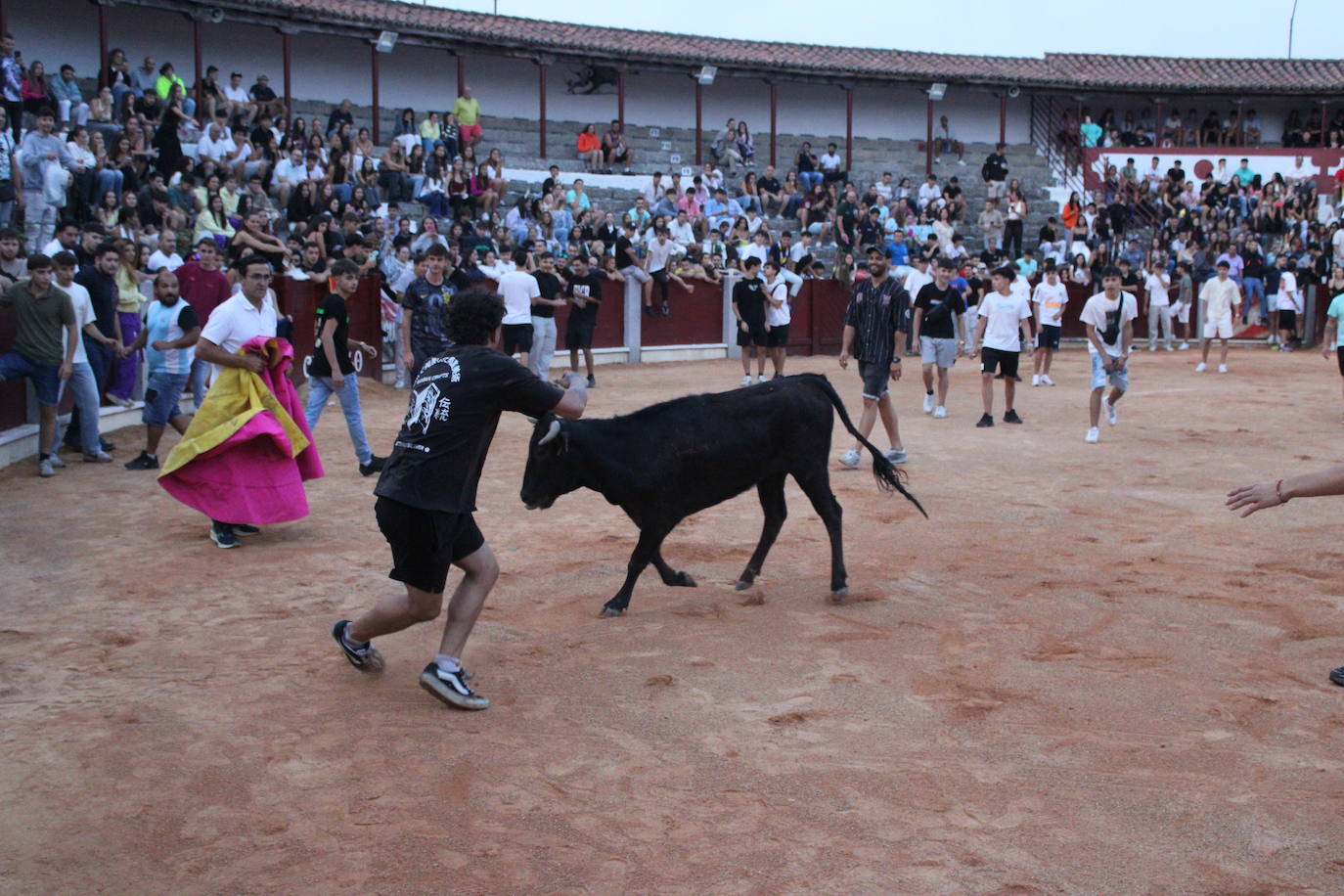Guijuelo vive con intensidad la vaquilla del aguardiente