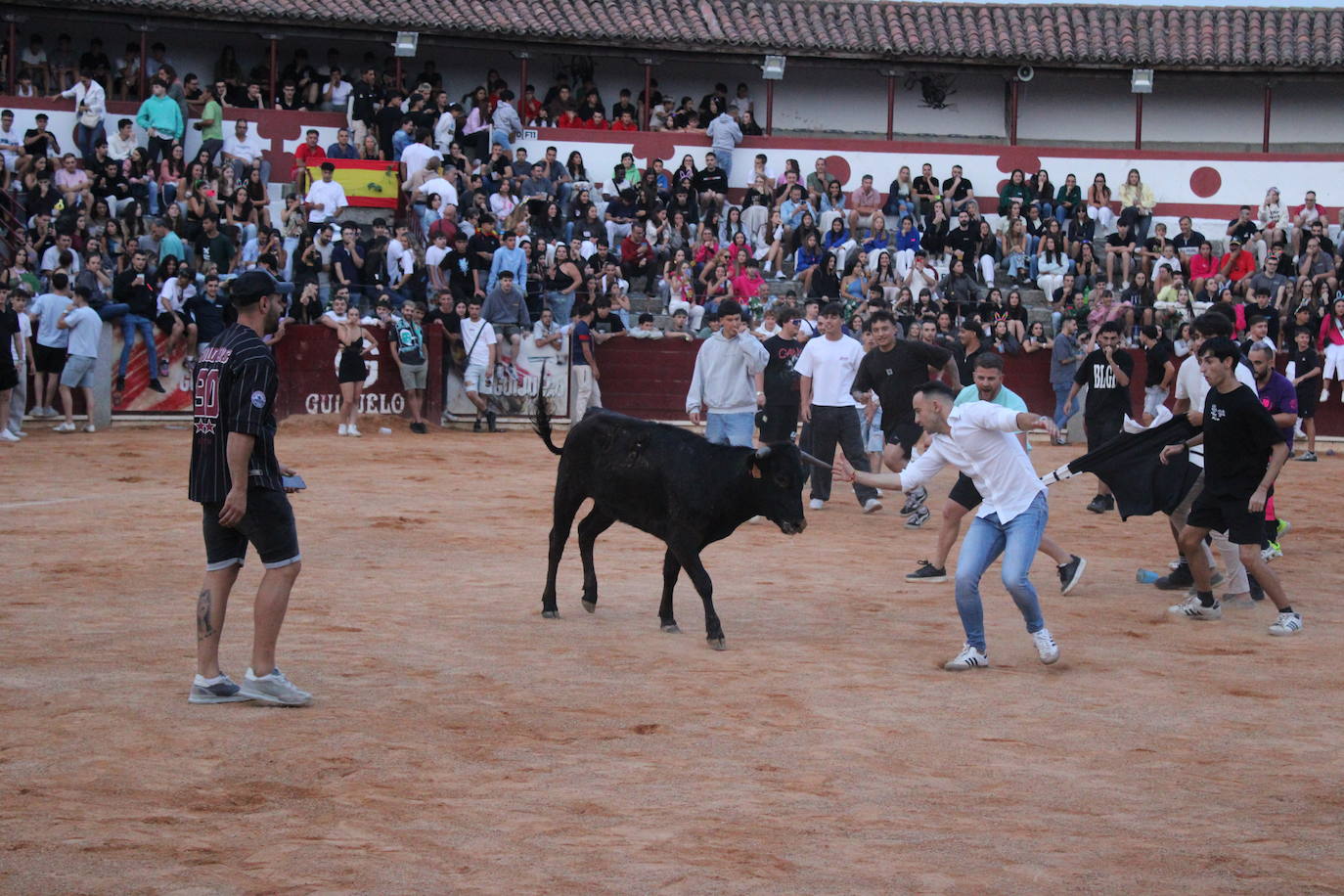 Guijuelo vive con intensidad la vaquilla del aguardiente