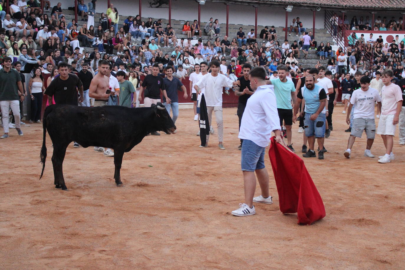 Guijuelo vive con intensidad la vaquilla del aguardiente