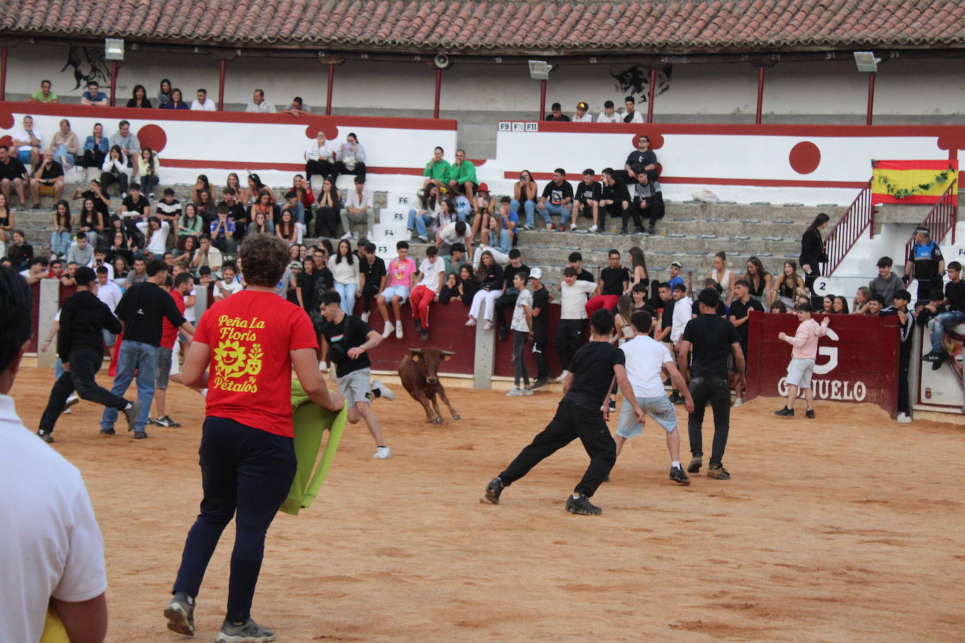 Guijuelo vive con intensidad la vaquilla del aguardiente