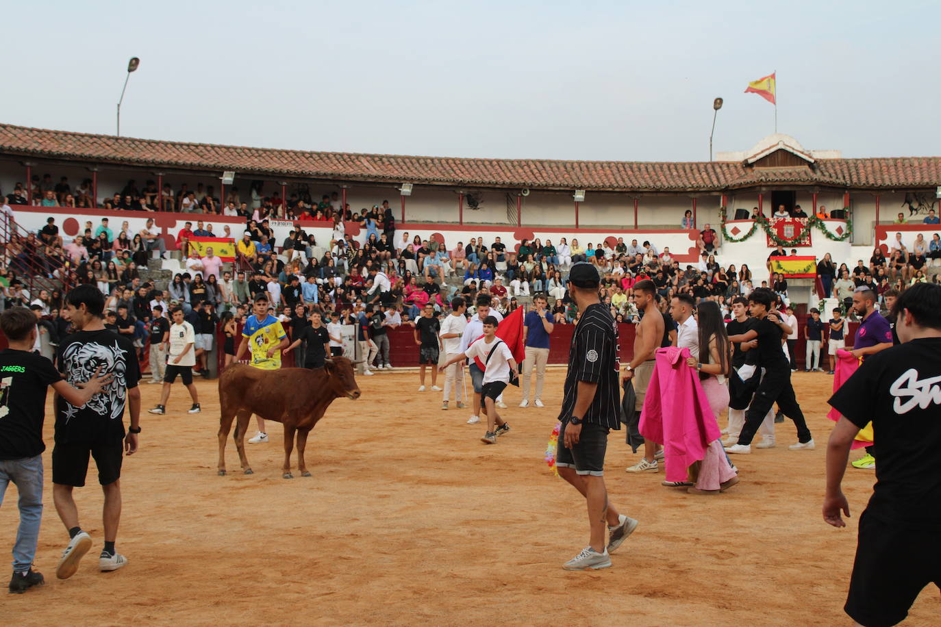 Guijuelo vive con intensidad la vaquilla del aguardiente