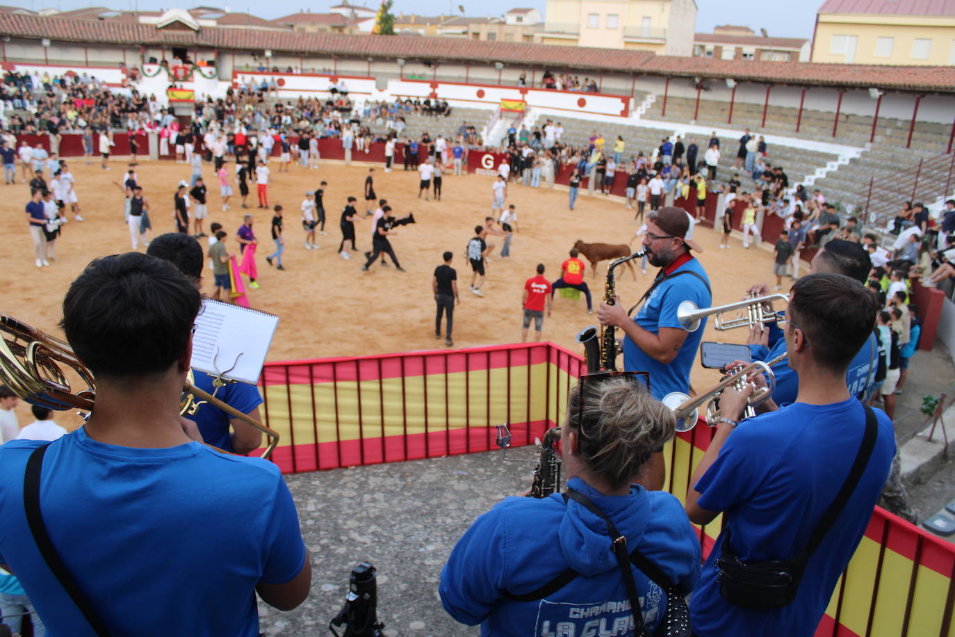 Guijuelo vive con intensidad la vaquilla del aguardiente