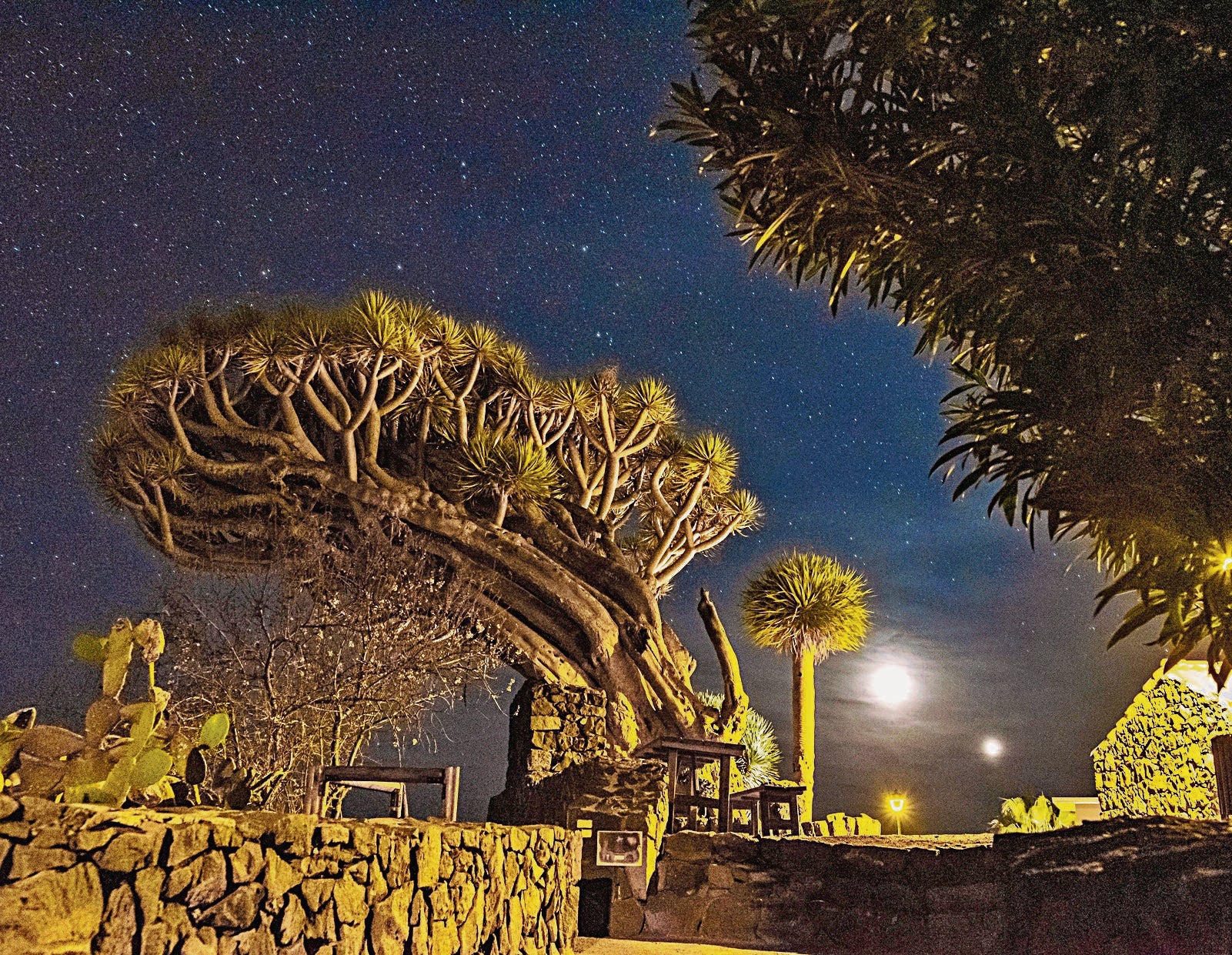 Vídeo porno bia miranda Suruba com branquinhas aninhahott.