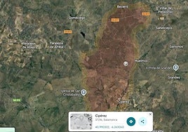 Google Maps incorpora un nuevo servicio para ver la evolución de los incendios en tiempo real