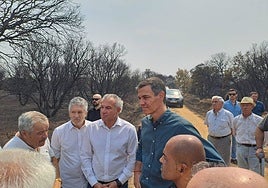 Pedro Sánchez, con Sen y Marlaska, en su visita a la zona afectada por el incendio de Molezuelas de la Carballeda.