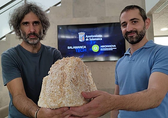 Sergio Pérez y Gonzalo Romano sostienen un micelio de hongo.