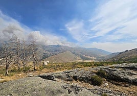 Imagen de la humareda provocada por el incendio de Jarilla, vista desde la sierra de Candelario.