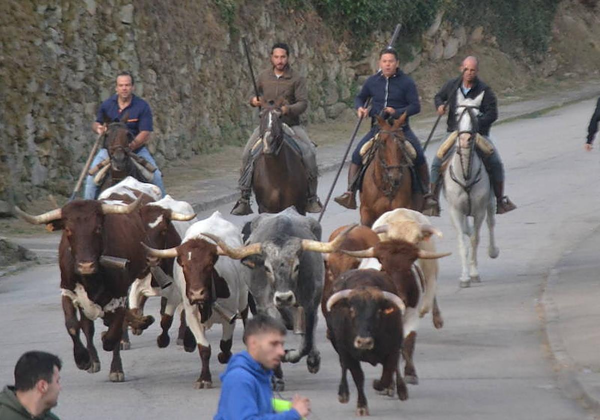 Los encierros arrancarán la jornada festiva cada día.