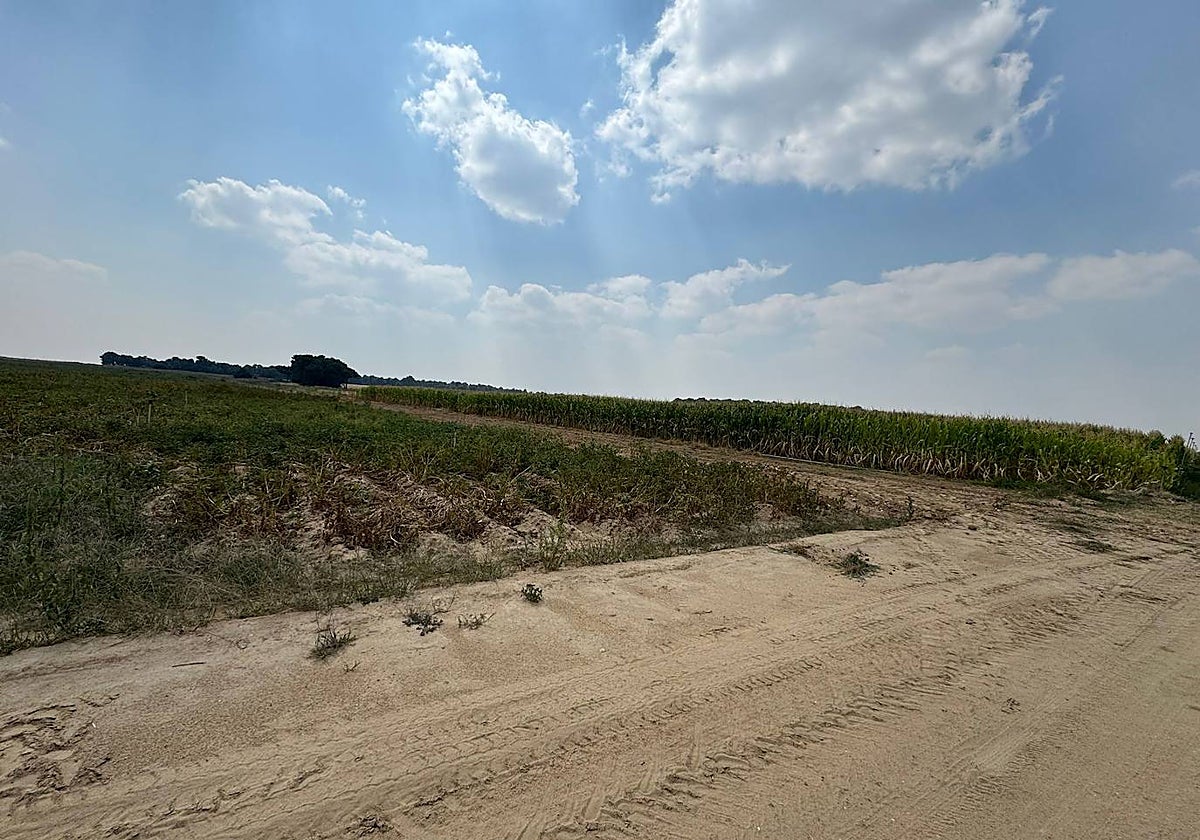 Imagen del lugar de Cantalpino desde el que se lanzó el pasado día 16 el cohete para el encierro campero.