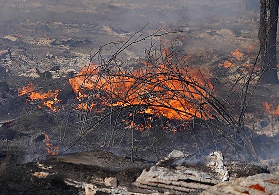 Imagen de un fuego declarado en la provincia, ajeno a esta información.