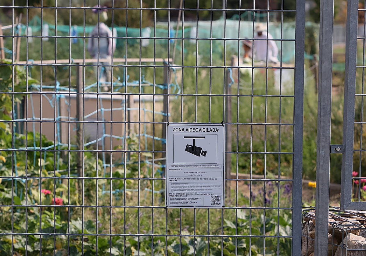 La seguridad de los Huertos Urbanos es controlada con cámaras de vigilancia las 24 horas del día.