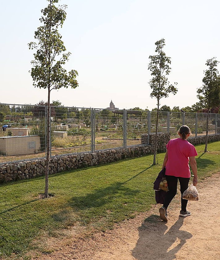 Imagen secundaria 2 - Los usuarios de los huertos urbanos de Salamanca sufren robos puntuales en sus parcelas. Consideran que las cámaras situadas en el recinto no son suficientes para garantizar la seguridad de los huertos ni la convivencia entre los hortelanos. En algunas ocasiones, los conflictos han llegado a los insultos e incluso a las agresiones físicas.