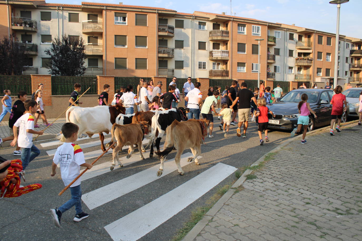 Guijuelo vive con intensidad la vaquilla del aguardiente
