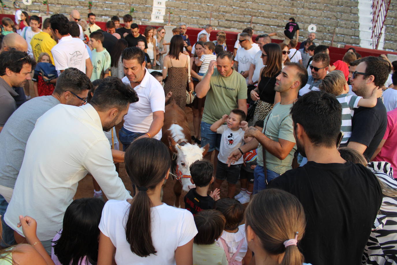 Guijuelo vive con intensidad la vaquilla del aguardiente