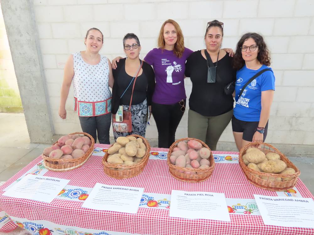 Patata de Arabayona en femenino