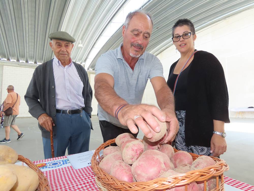 Patata de Arabayona en femenino