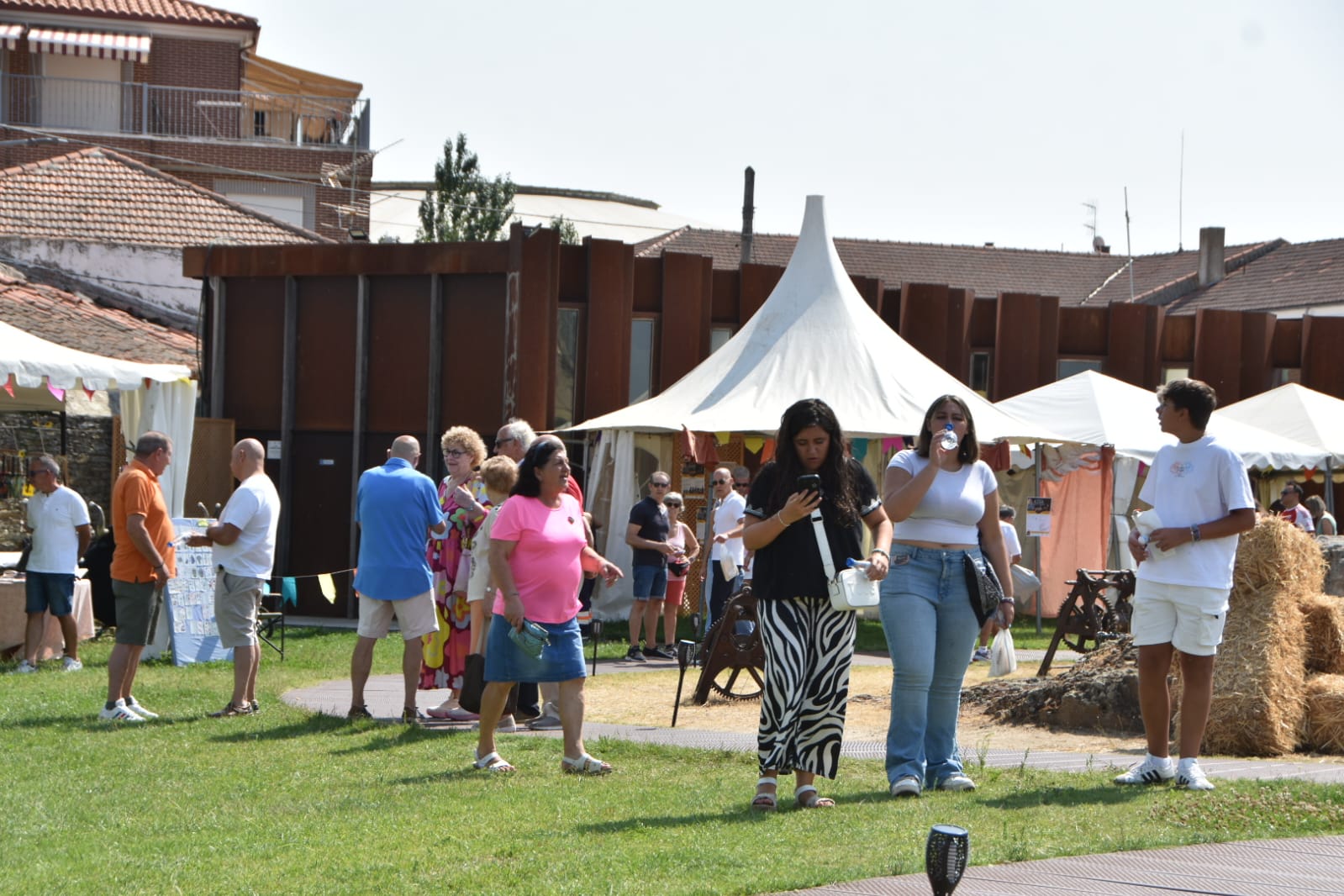 Arranca la fiesta en Alba de Tormes