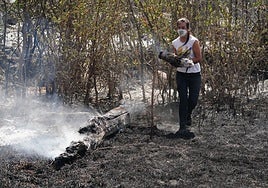 Una mujer intenta sofocar las llamas en Cerezal de Puertas.