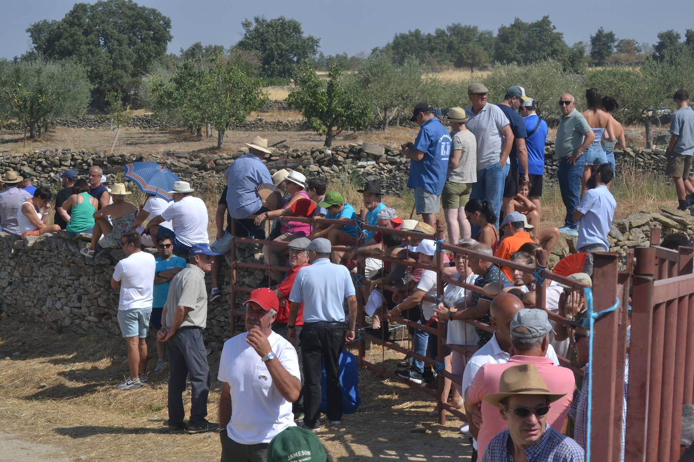 Brillante encierro a caballo en Lumbrales