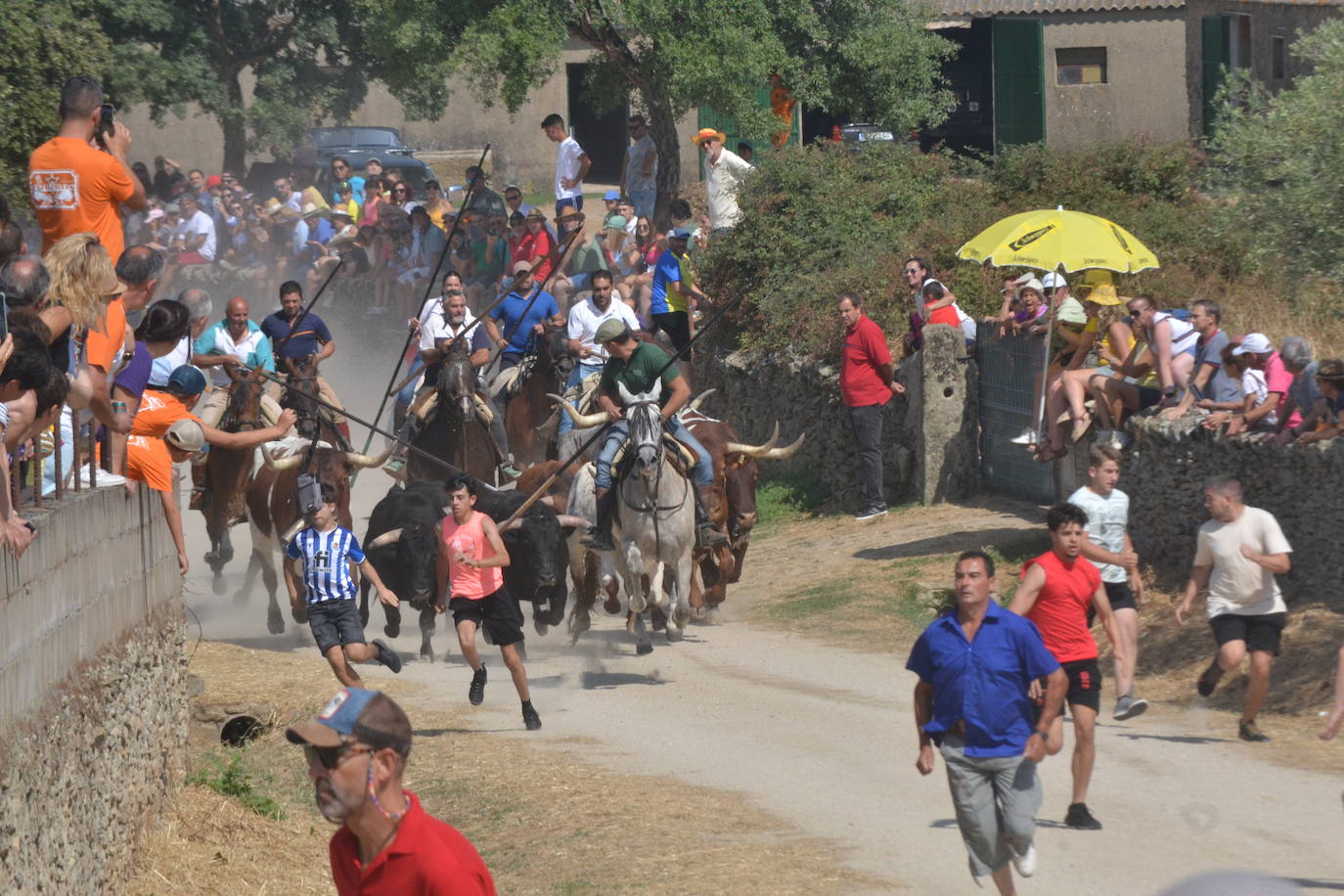 Brillante encierro a caballo en Lumbrales
