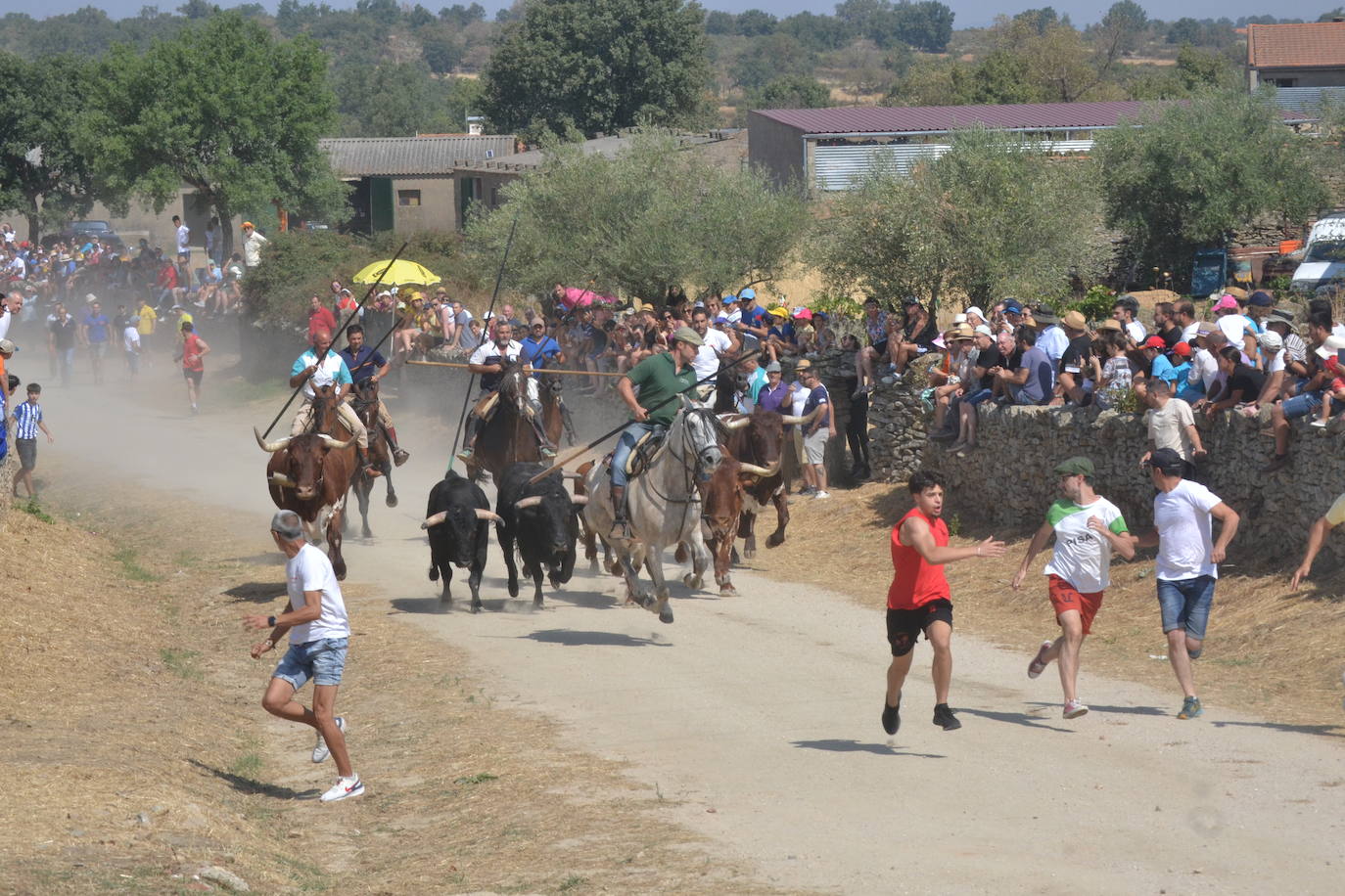 Brillante encierro a caballo en Lumbrales