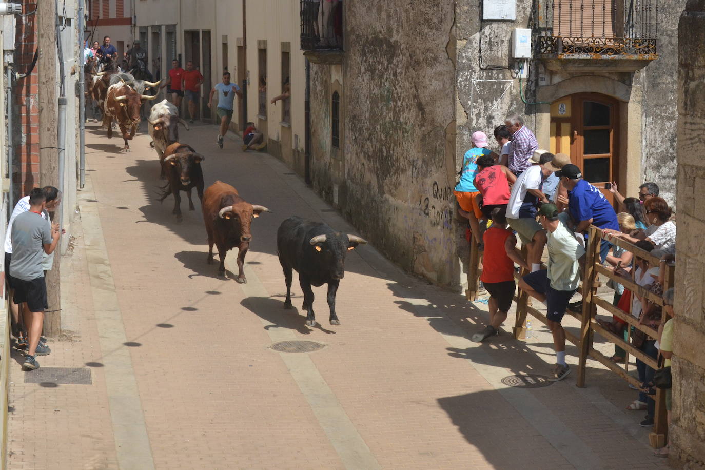 Lumbrales celebra un encierro vibrante