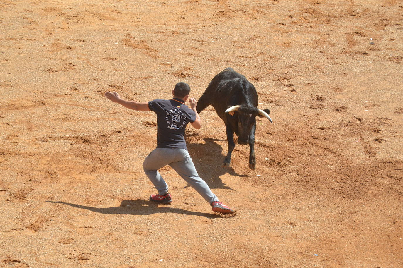Lumbrales celebra un encierro vibrante