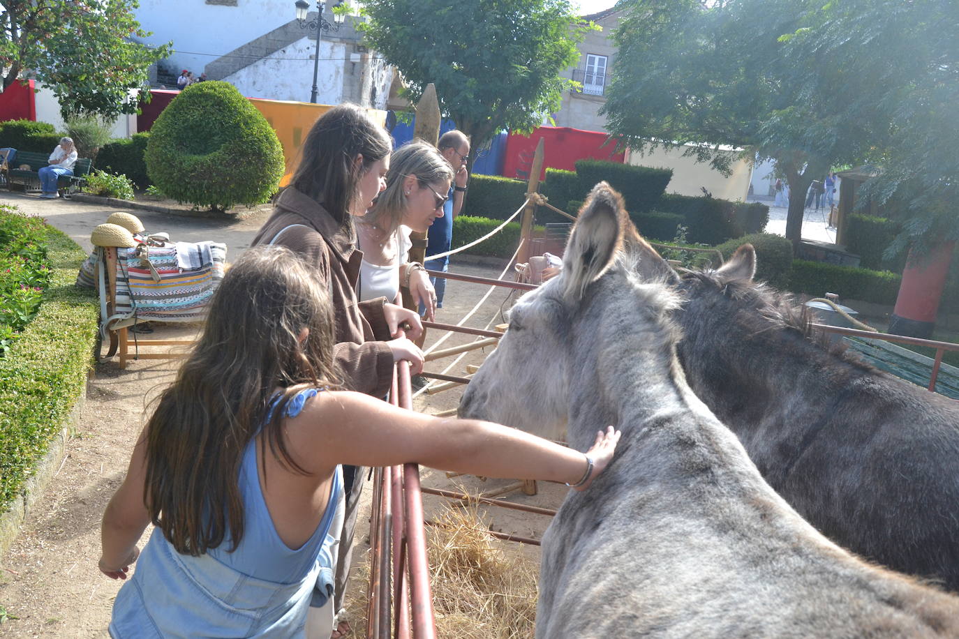 El ondear de las banderas marca el inicio de la recreación del cerco francés a Almeida