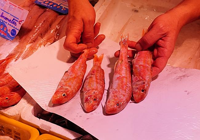 El pescadero Manuel López sostien unos salmonetes.