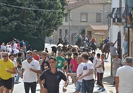 Los astados entran en el casco urbano del municipio