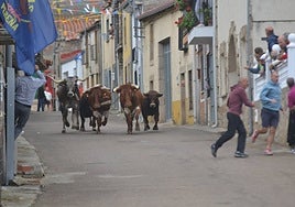 Los astados en la primera de las dos tandas que compusieron el encierro