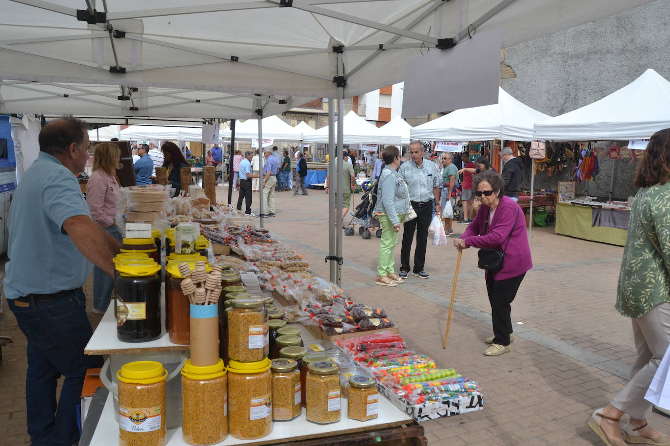 La solidaridad de Lumbrales marca la Feria Hortícola