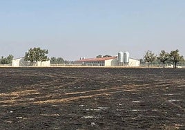 A pesar de la devastación del incendio, las instalaciones de la explotación se mantienen intactas gracias a las medidas de protección previas.