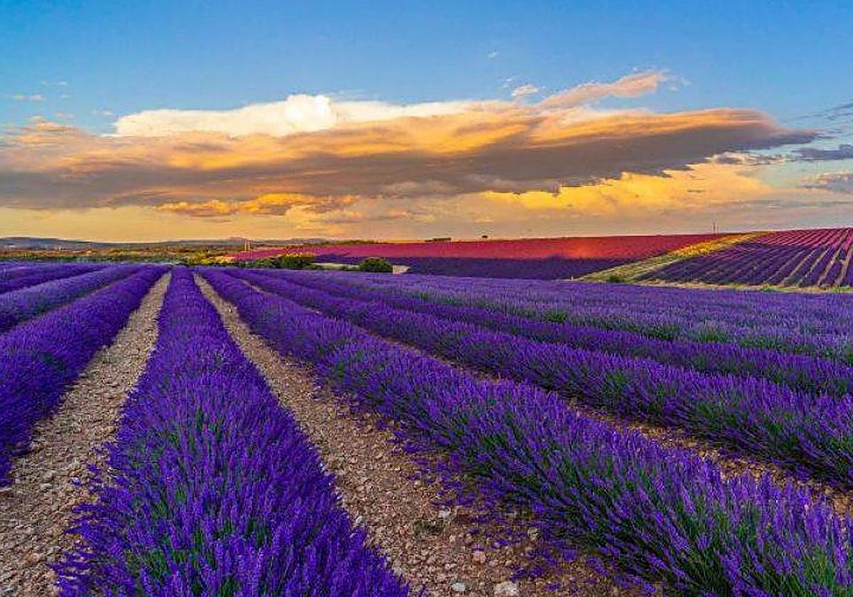 Caleruega, perteneciente a la provincia de Burgos.