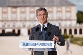 El líder del Partido Popular, Alberto Núñez Feijóo.