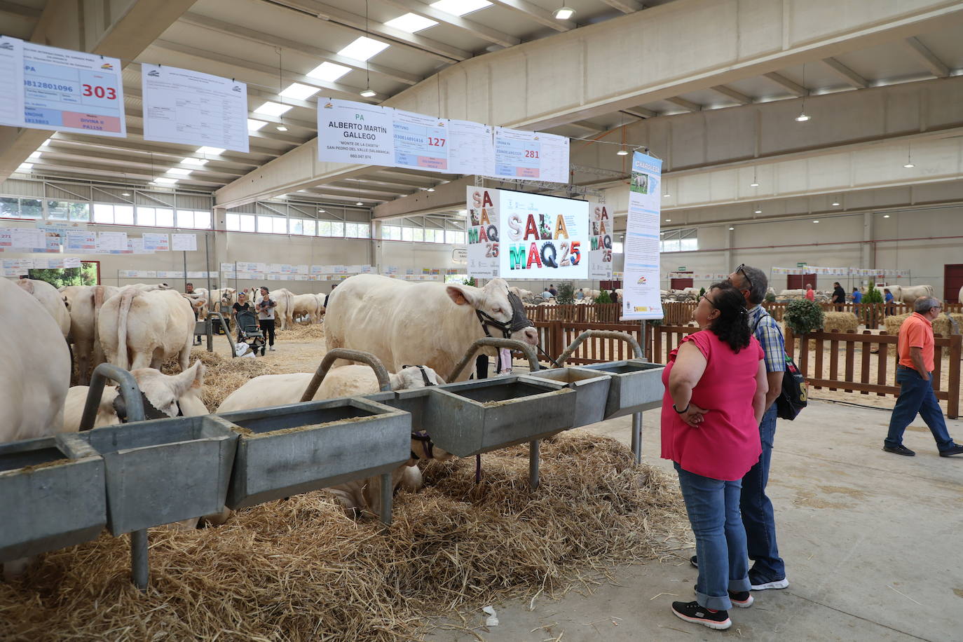 Las mejores imágenes del primer día de Salamaq 2025