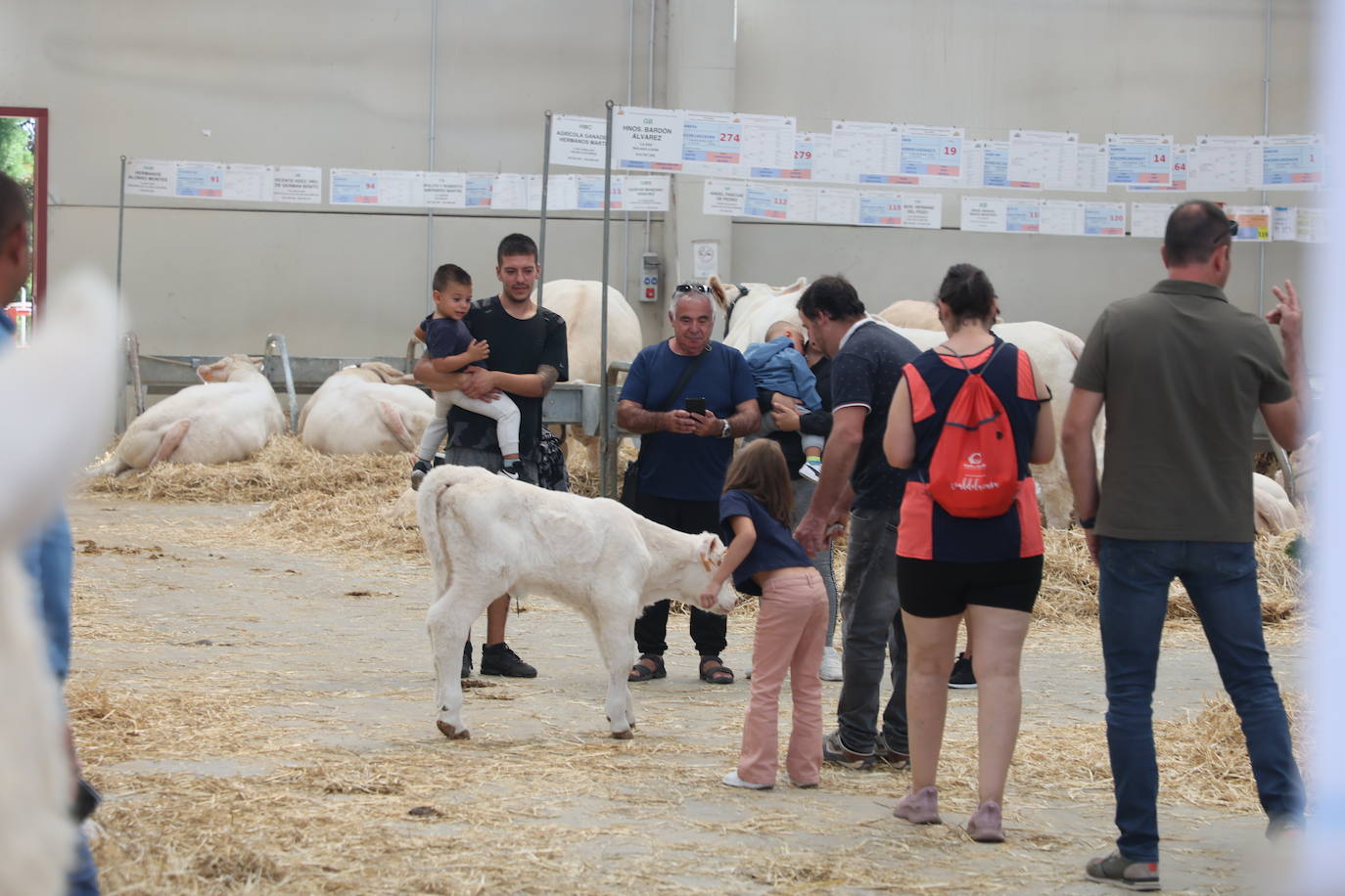 Las mejores imágenes del primer día de Salamaq 2025