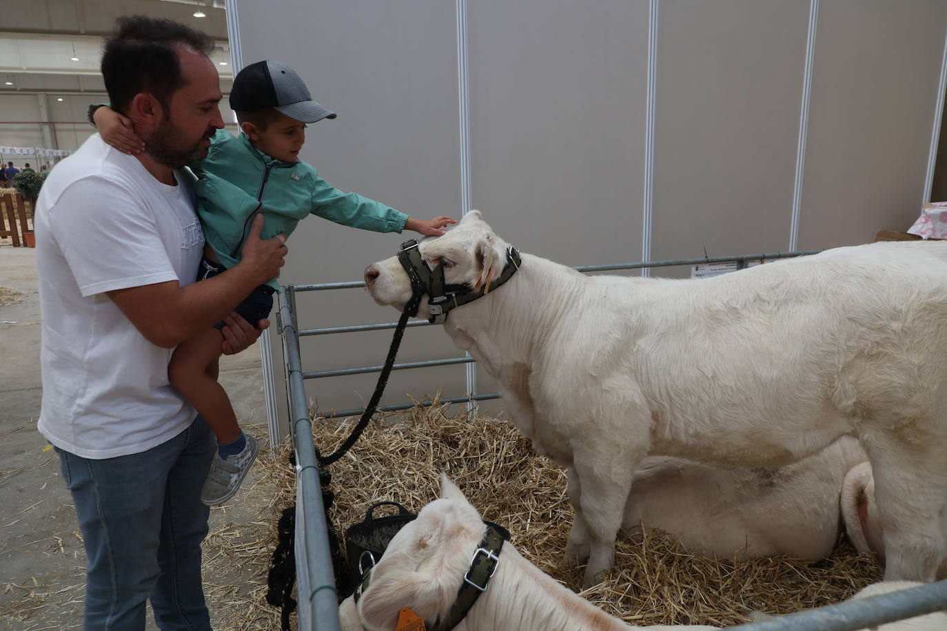 Las mejores imágenes del primer día de Salamaq 2025