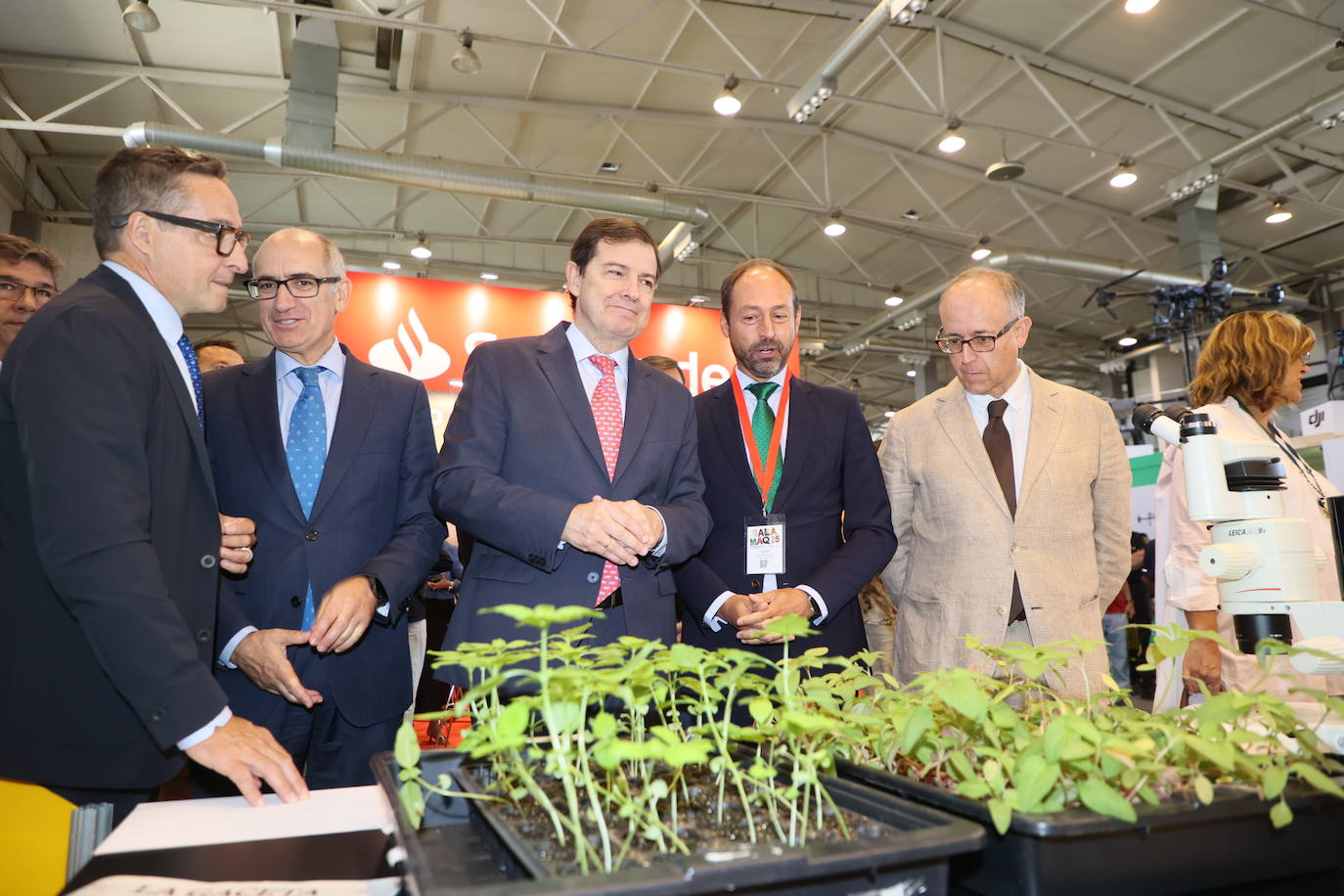 Las mejores imágenes del primer día de Salamaq 2025