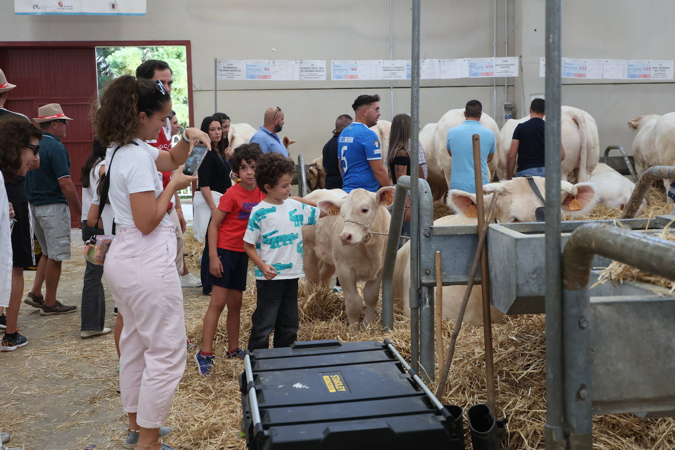 Las mejores imágenes del primer día de Salamaq 2025